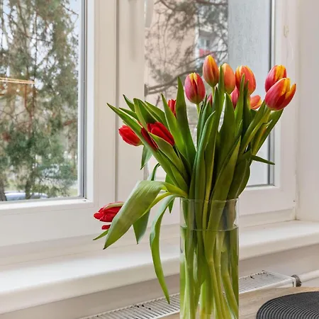 Apartamento Klimatizovaný Self Check-in Ružinov Bratislava